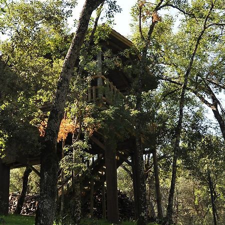 Los Nidos De Santa Maria Arroyo Frio Esterno foto